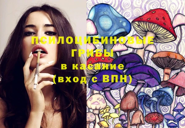 PSILOCYBIN Богородск